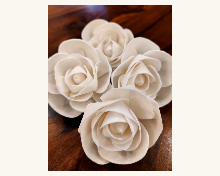 Sola wood flower