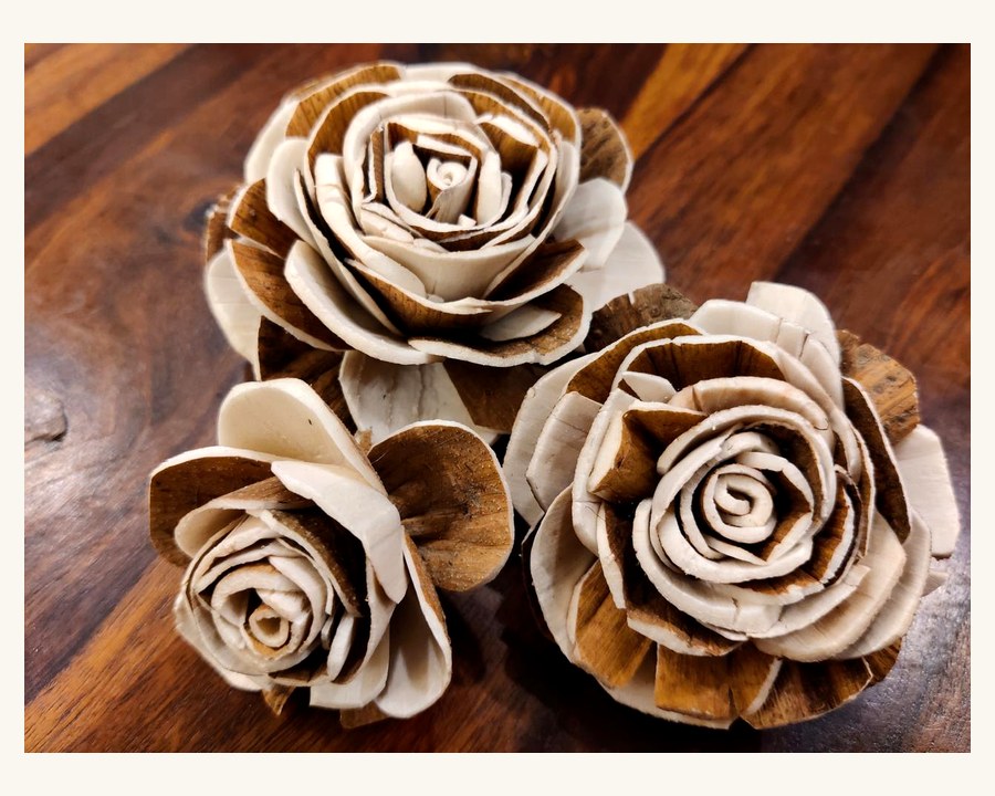 Sola wood flower