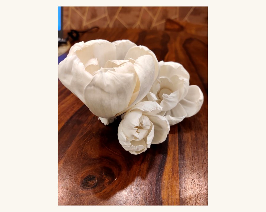 Sola wood flower
