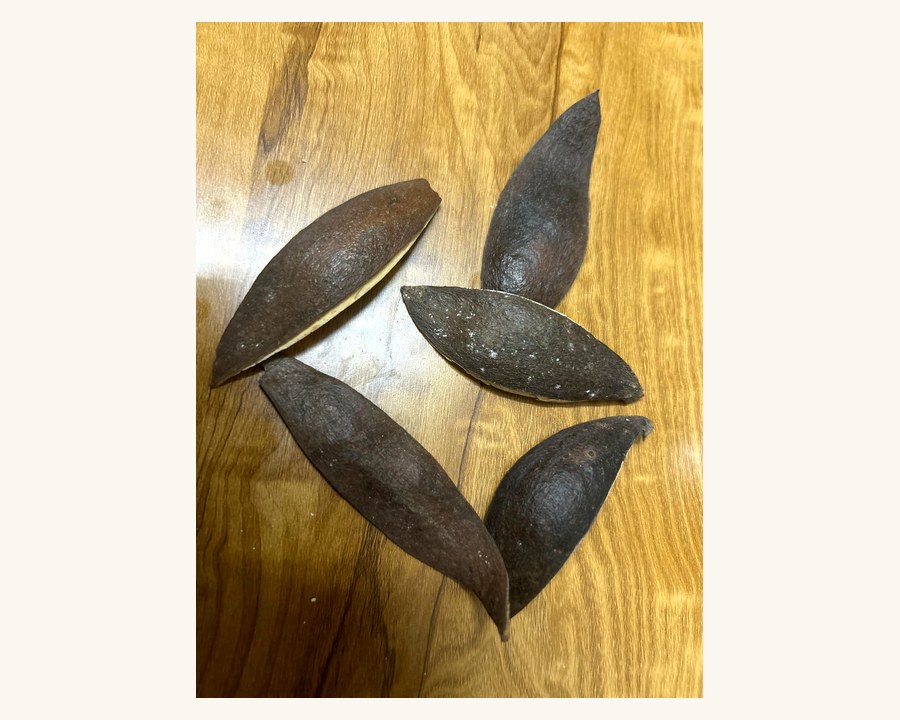 Dried Botanicals